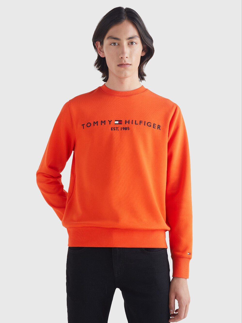 Tommy Hilfiger Sweatshirt – Masseus Mode